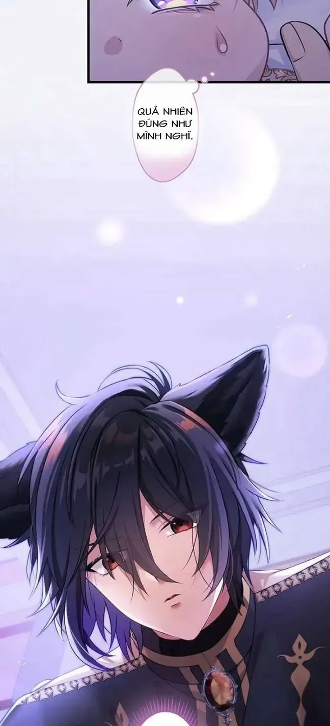 Tiểu Thư Út Tái Sinh Chap 71 - Next Chap 72