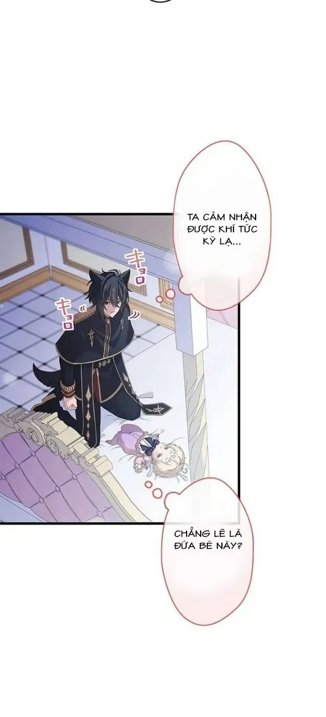 Tiểu Thư Út Tái Sinh Chap 71 - Next Chap 72