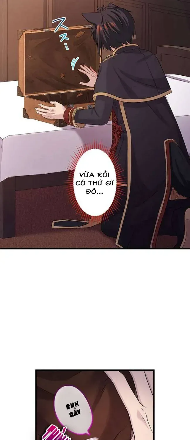 Tiểu Thư Út Tái Sinh Chap 74 - Next Chap 75