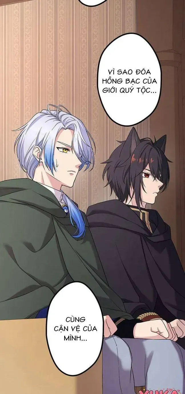 Tiểu Thư Út Tái Sinh Chap 77 - Next Chap 78