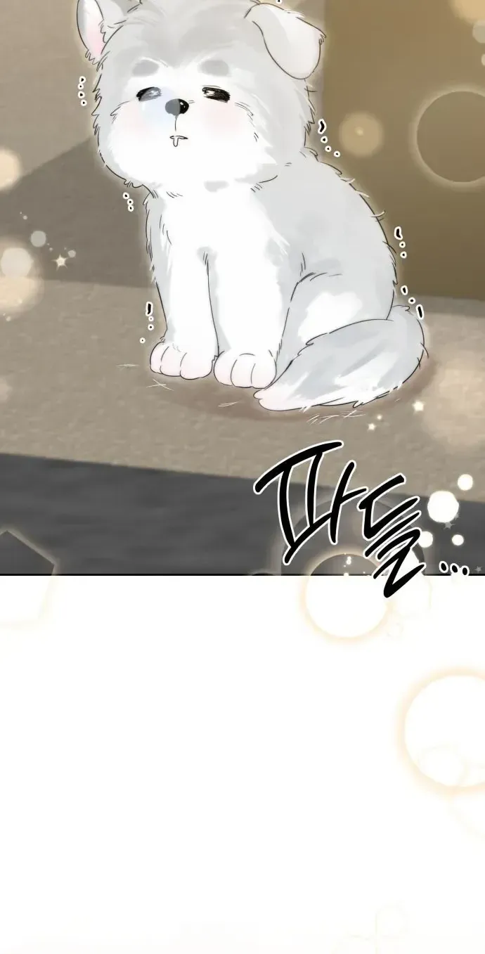 Tình Yêu Bắt Đầu Từ Việc Nuôi Dạy Con Cái Chap 15 - Next Chap 16