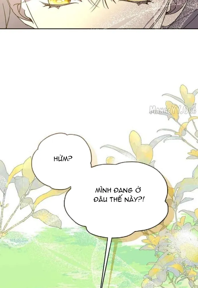 Tình Yêu Hỡi, Sao Người Lại Hối Hận Rồi? Chap 62 - Next Chap 63