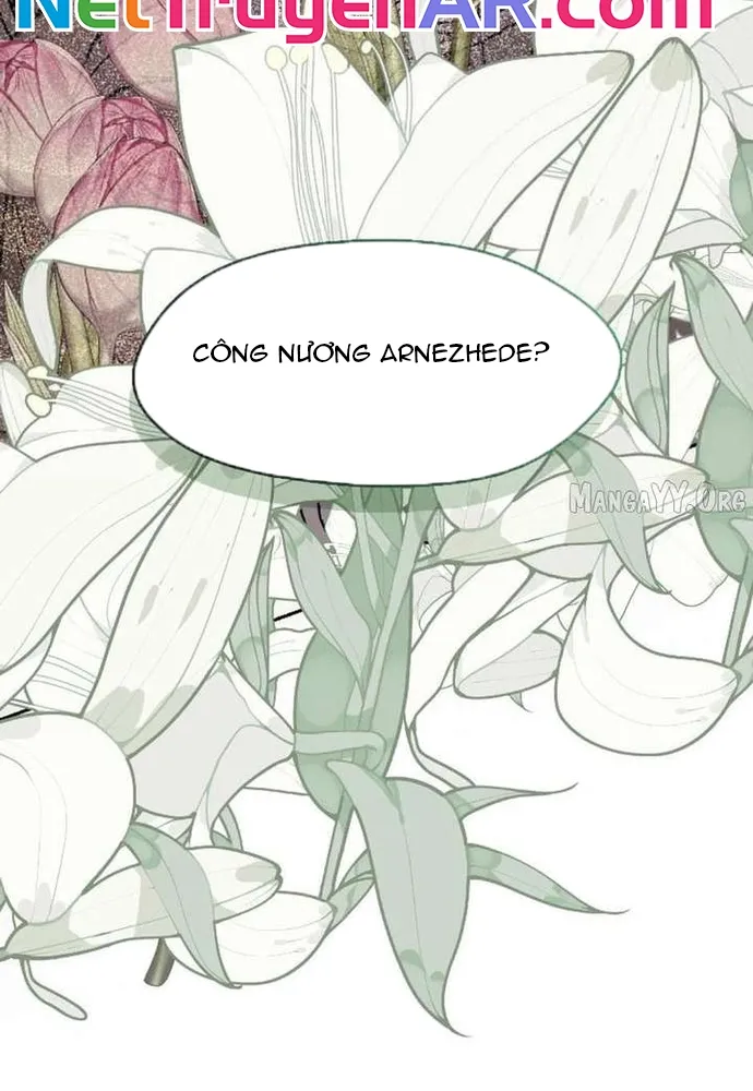 Tình Yêu Hỡi, Sao Người Lại Hối Hận Rồi? Chap 64 - Next Chap 65