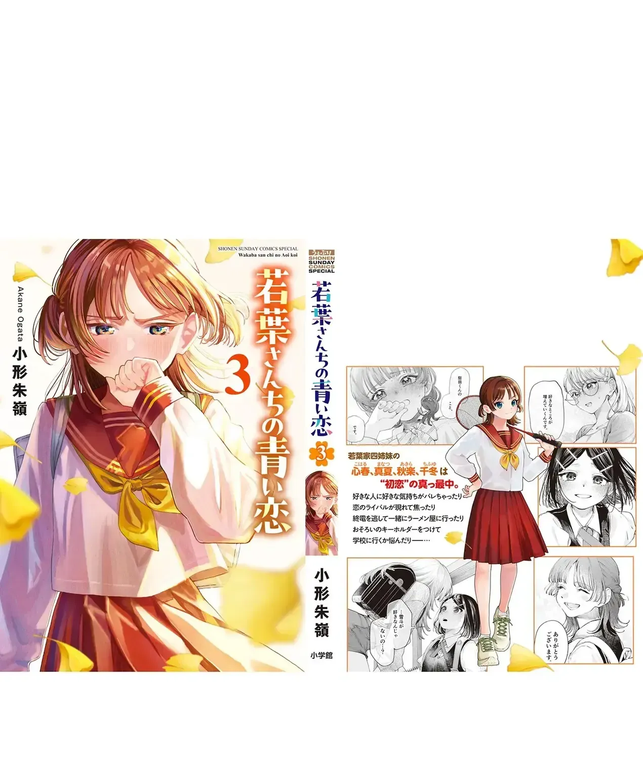 Tình Yêu Màu Lam Nhà Wakaba Chap 27.5 - Next Chap 28.5