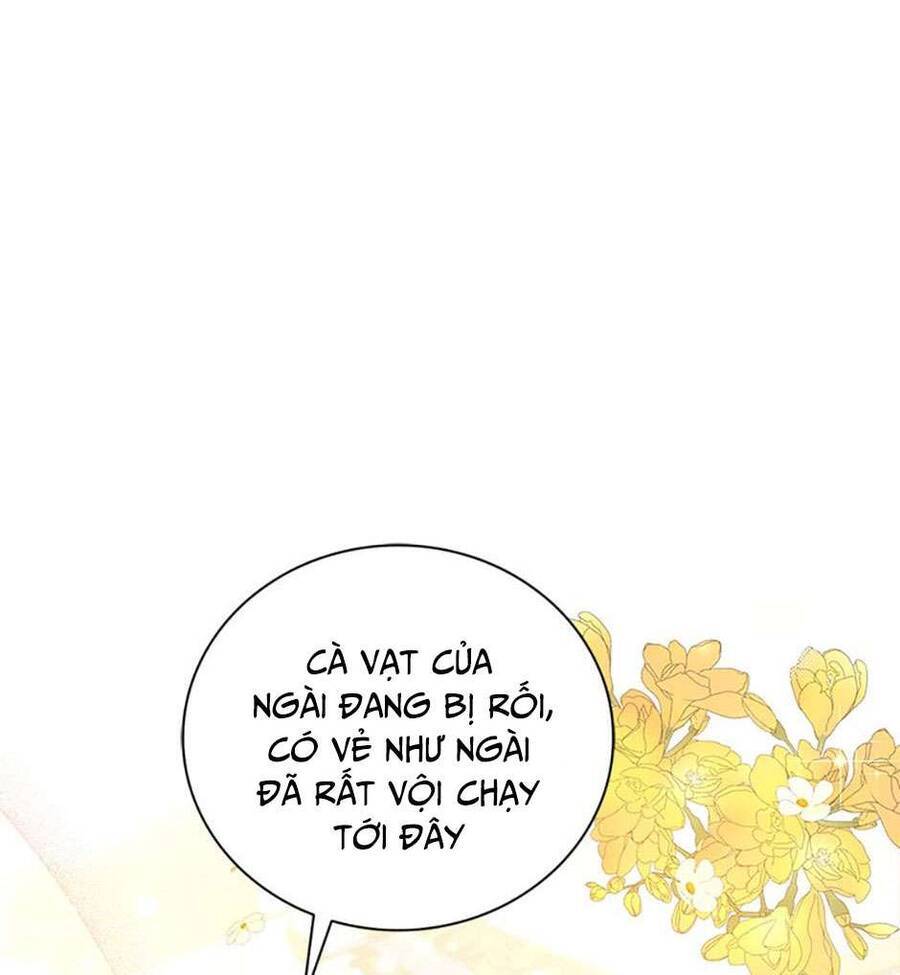 Tình Yêu Màu Lam Nhà Wakaba Chap 5 - Next Chap 6