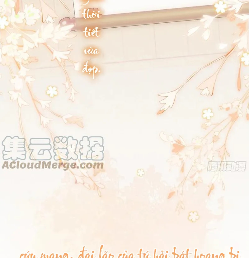 Tổ Chim Phượng Hoàng Chap 0.5 - Next Chap 1.5