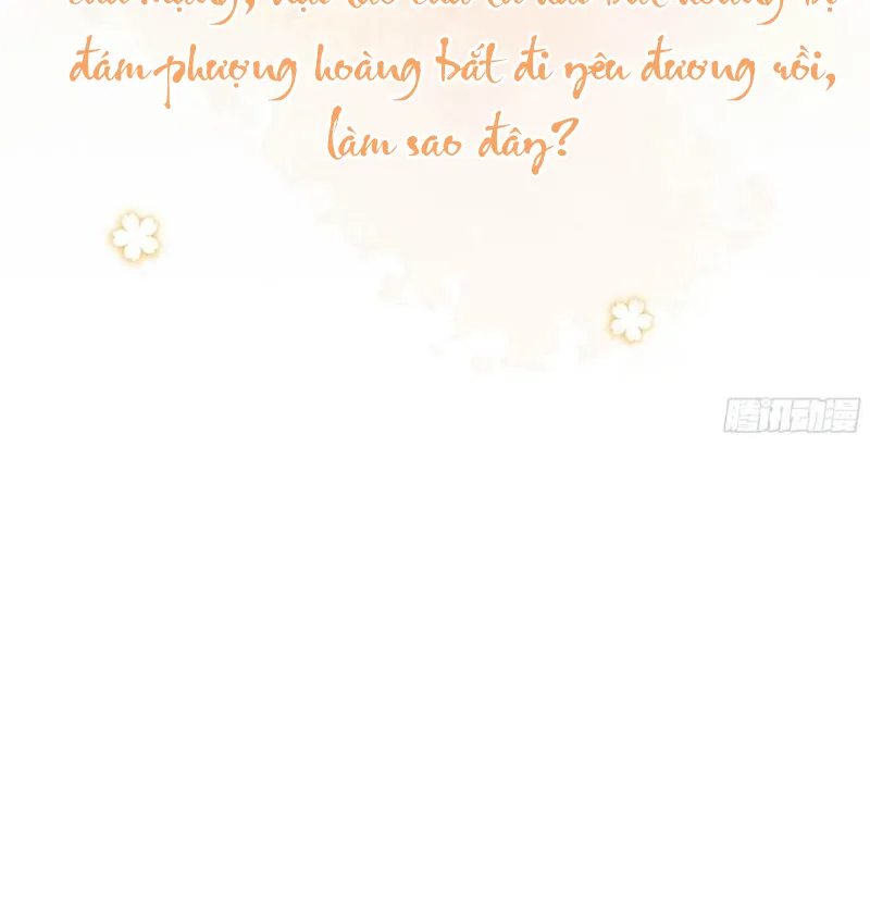 Tổ Chim Phượng Hoàng Chap 0.5 - Next Chap 1.5