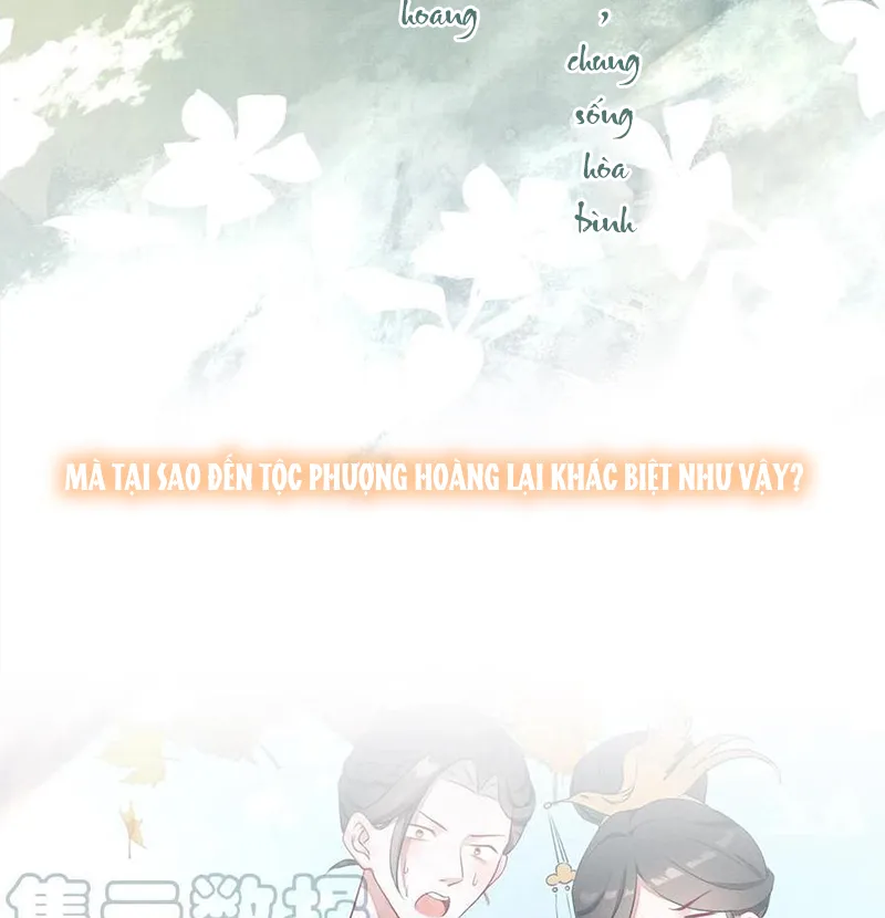 Tổ Chim Phượng Hoàng Chap 0.5 - Next Chap 1.5