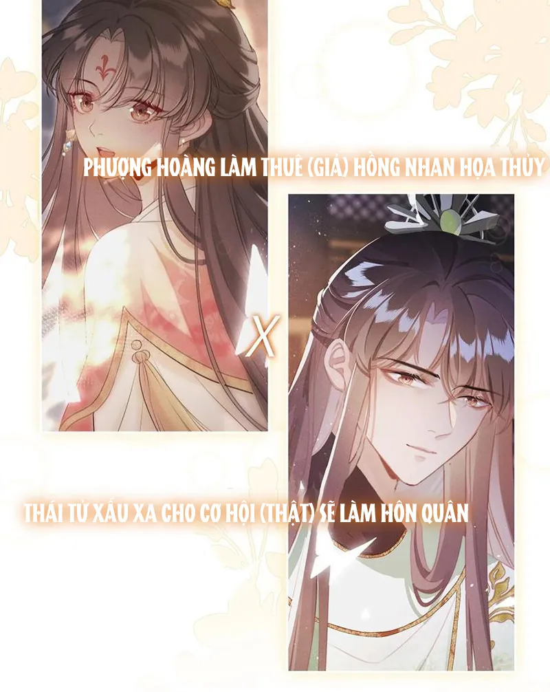 Tổ Chim Phượng Hoàng Chap 0 - Next Chap 1