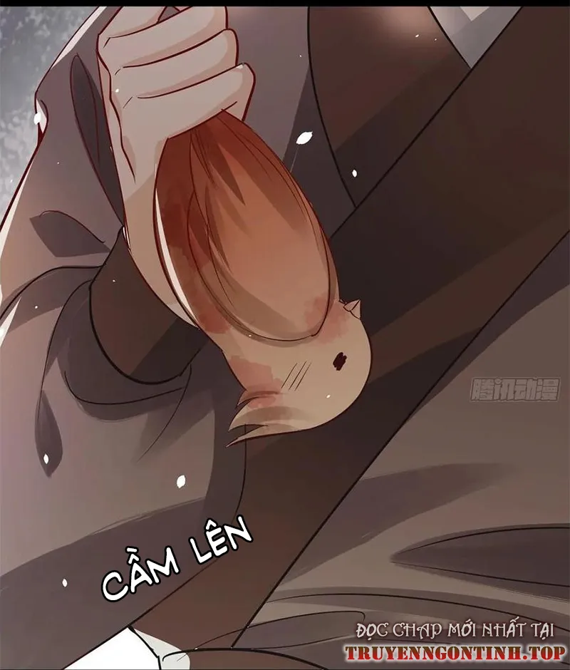 Tổ Chim Phượng Hoàng Chap 1 - Next Chap 2