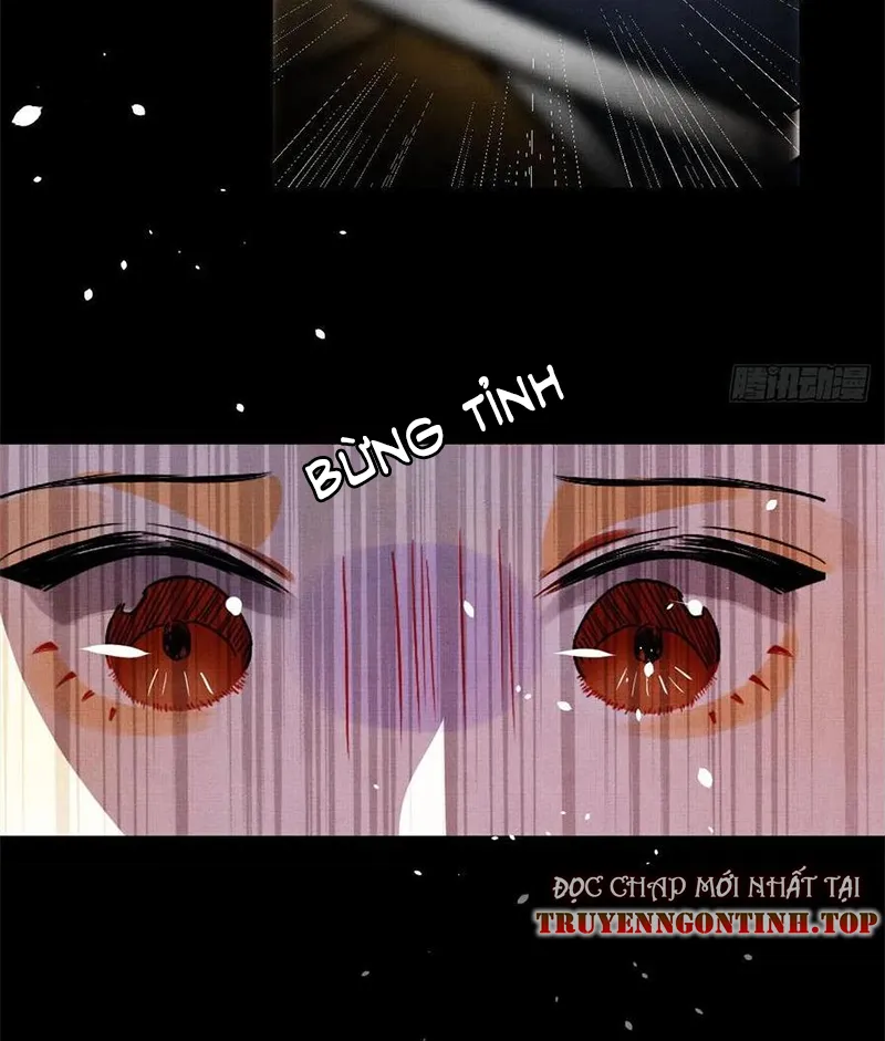 Tổ Chim Phượng Hoàng Chap 1 - Next Chap 2