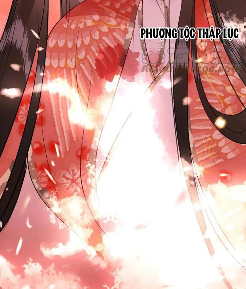 Tổ Chim Phượng Hoàng Chap 1 - Next Chap 2