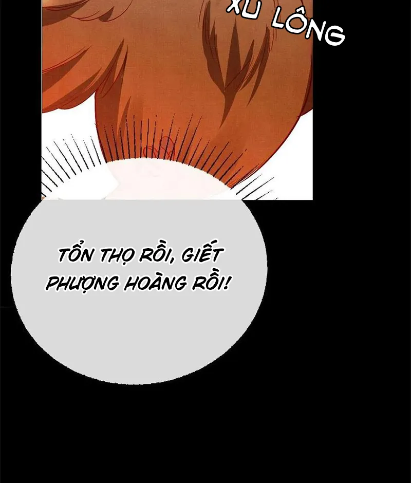 Tổ Chim Phượng Hoàng Chap 1 - Next Chap 2