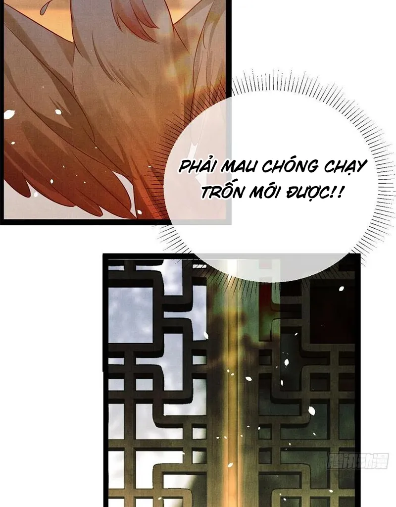 Tổ Chim Phượng Hoàng Chap 1 - Next Chap 2