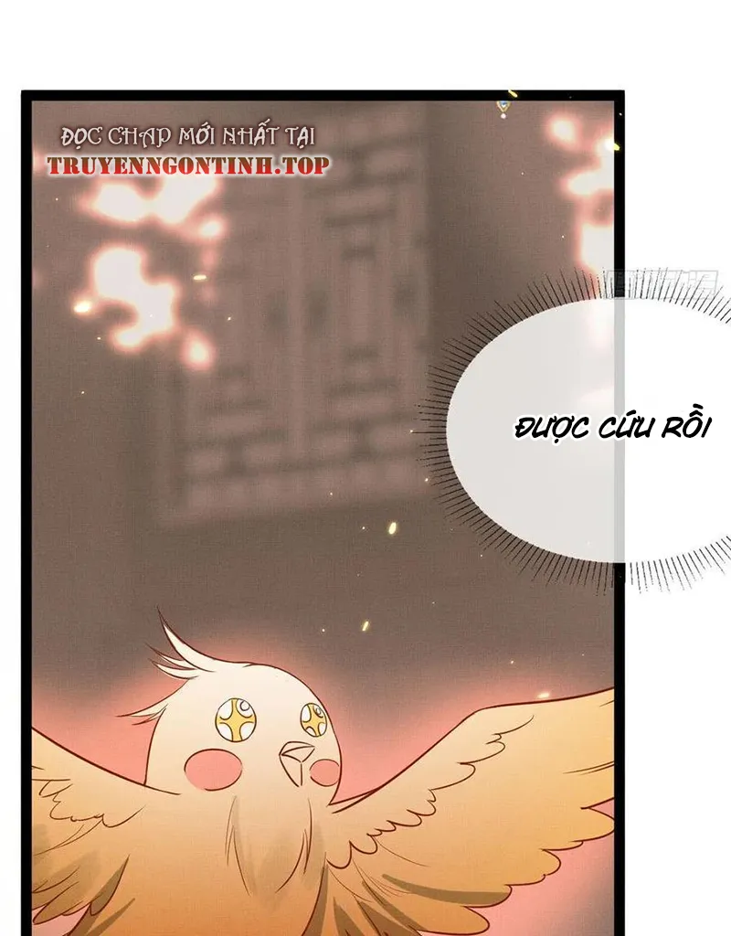 Tổ Chim Phượng Hoàng Chap 1 - Next Chap 2