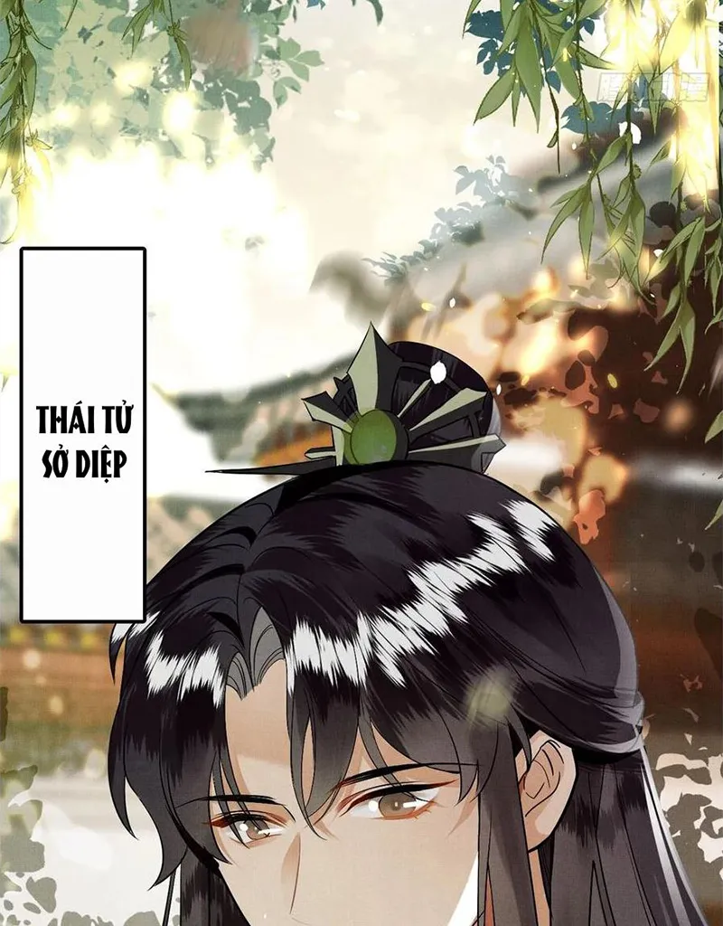 Tổ Chim Phượng Hoàng Chap 1 - Next Chap 2