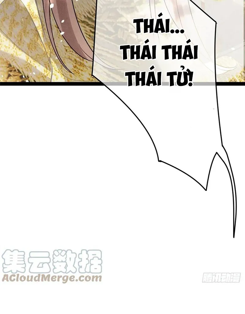 Tổ Chim Phượng Hoàng Chap 1 - Next Chap 2