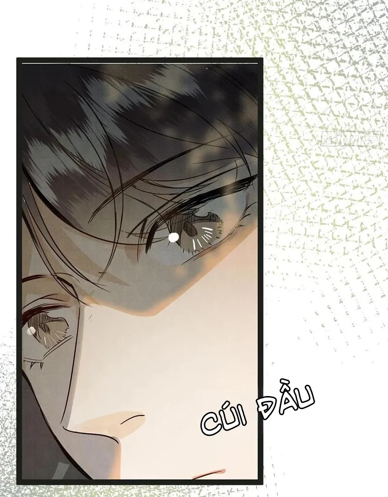 Tổ Chim Phượng Hoàng Chap 1 - Next Chap 2