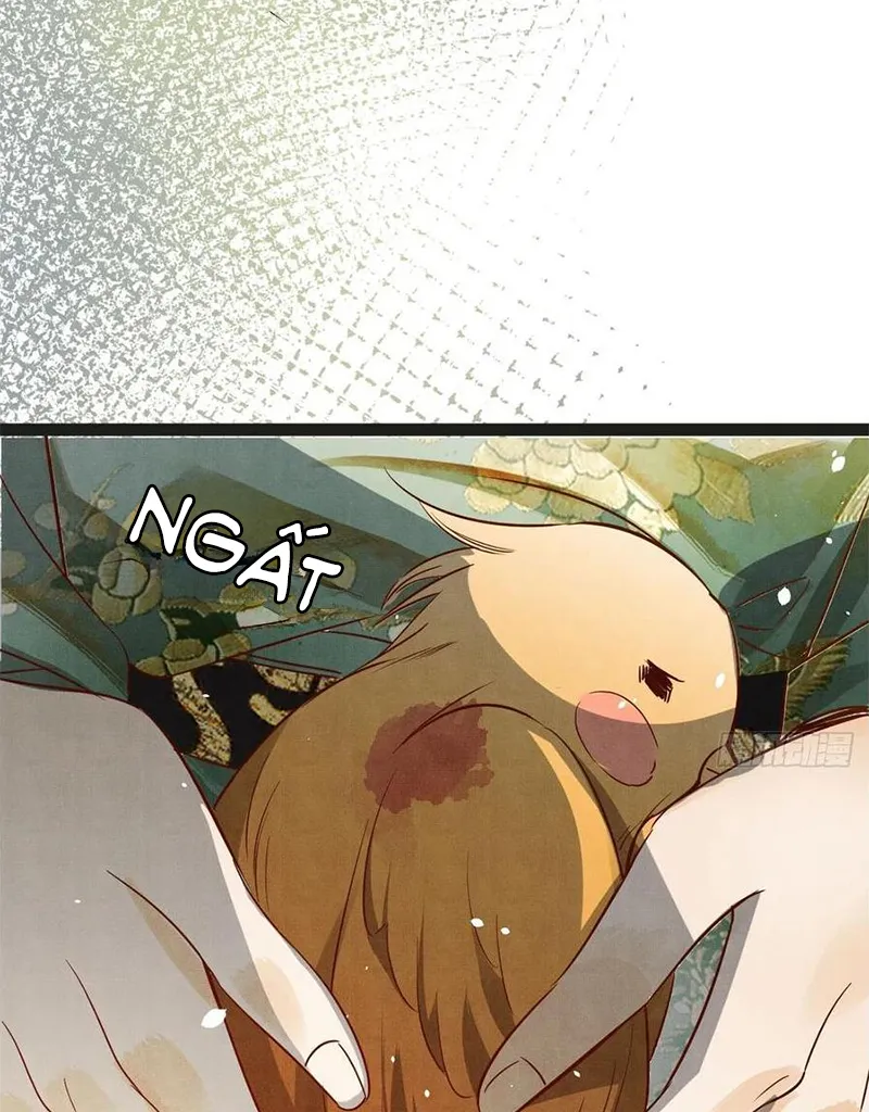 Tổ Chim Phượng Hoàng Chap 1 - Next Chap 2