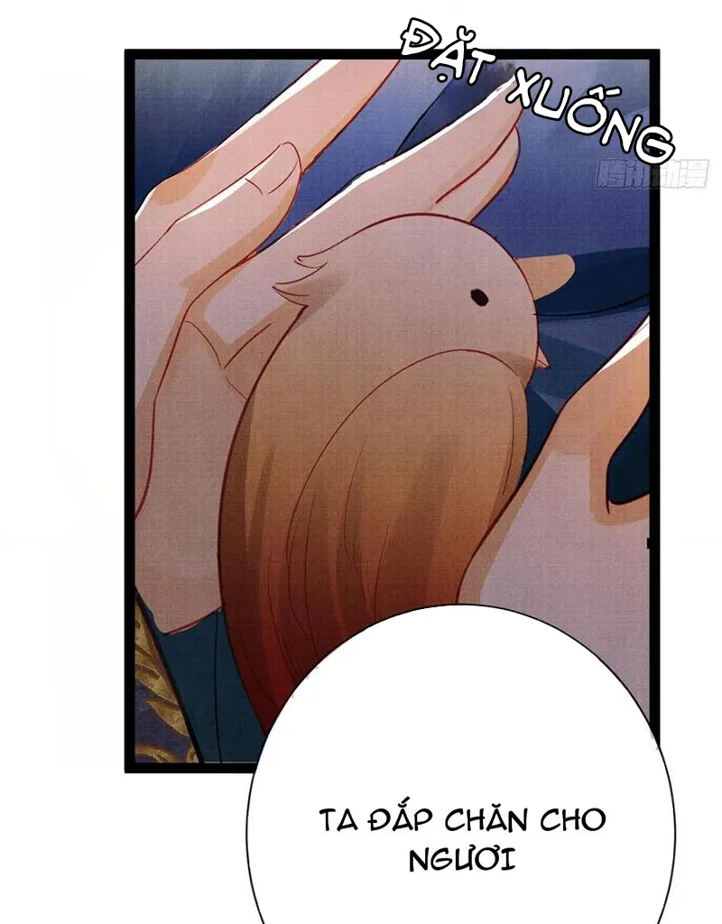 Tổ Chim Phượng Hoàng Chap 1 - Next Chap 2