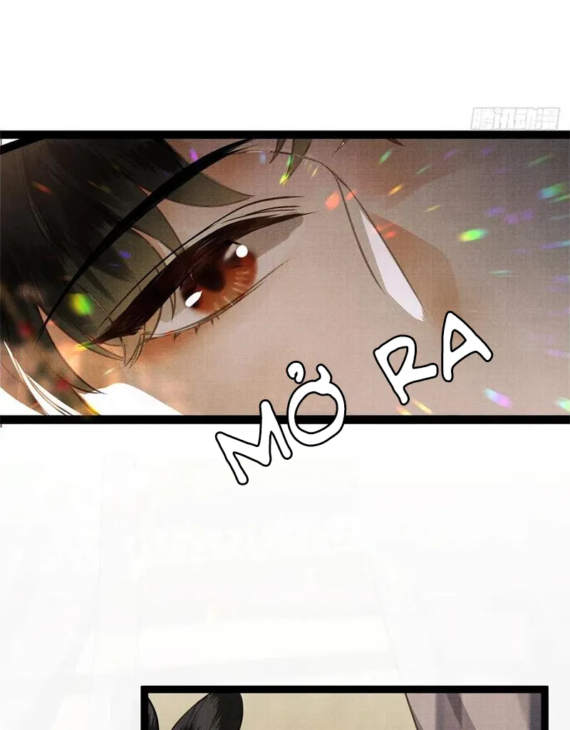 Tổ Chim Phượng Hoàng Chap 1 - Next Chap 2