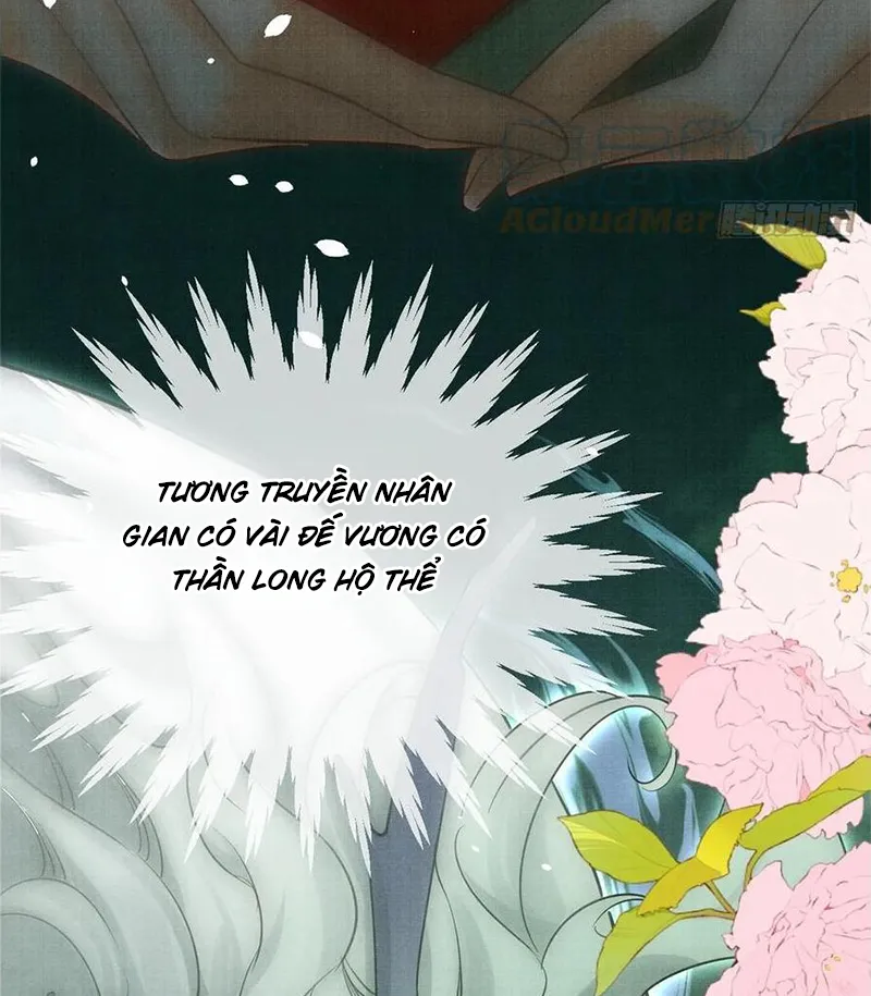 Tổ Chim Phượng Hoàng Chap 1 - Next Chap 2