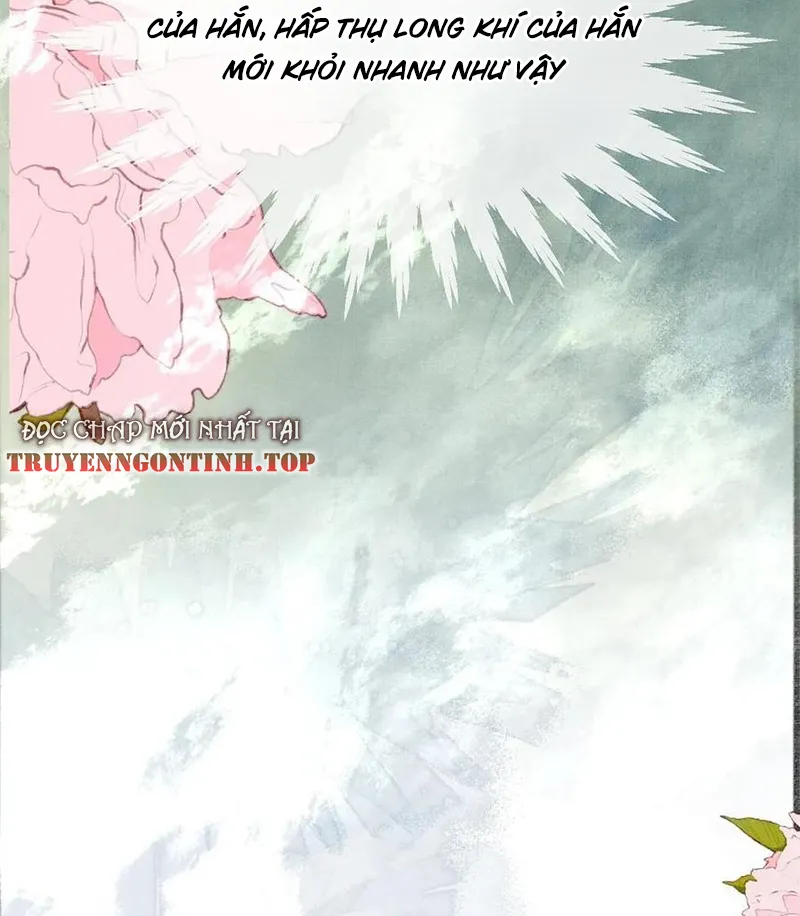 Tổ Chim Phượng Hoàng Chap 1 - Next Chap 2