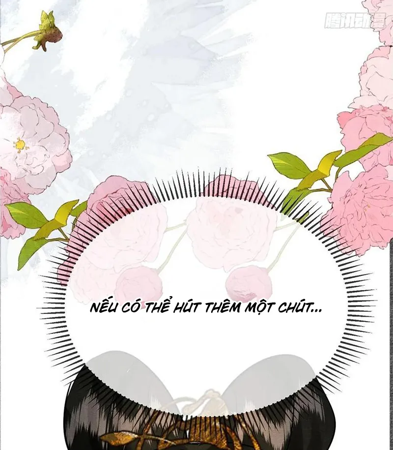 Tổ Chim Phượng Hoàng Chap 1 - Next Chap 2