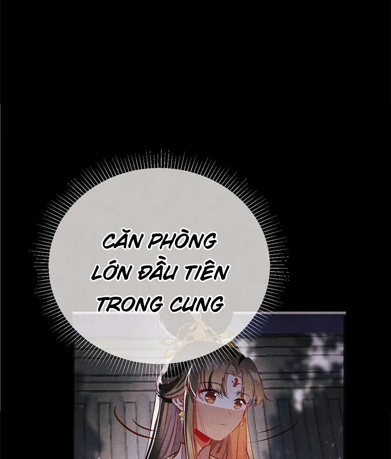 Tổ Chim Phượng Hoàng Chap 2 - Next Chap 3