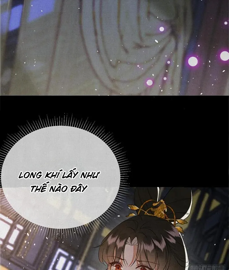 Tổ Chim Phượng Hoàng Chap 2 - Next Chap 3