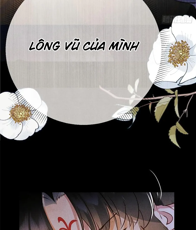 Tổ Chim Phượng Hoàng Chap 2 - Next Chap 3