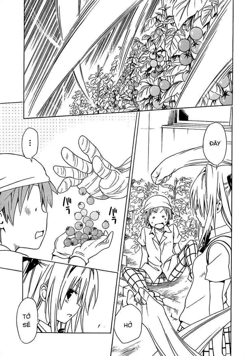 To Love - Ru Darkness Chap 53.5 - Next Chap 54.5