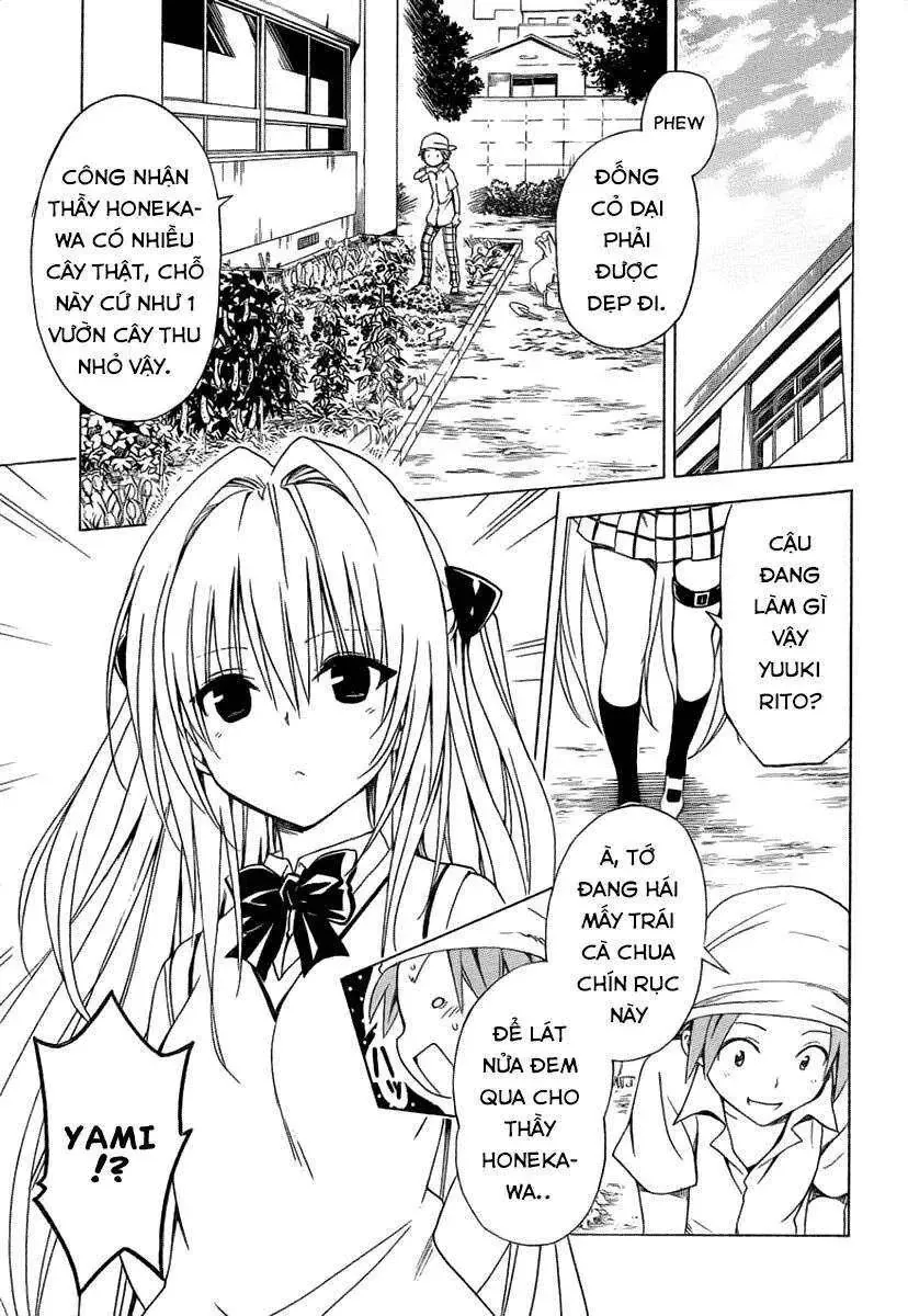 To Love - Ru Darkness Chap 53.5 - Next Chap 54.5
