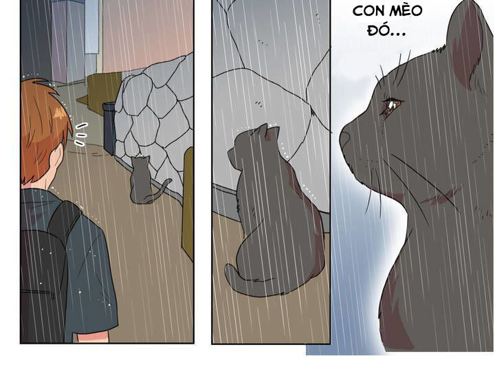 Tỏ Tình Nhầm Lẫn Chap 5 - Next Chap 6