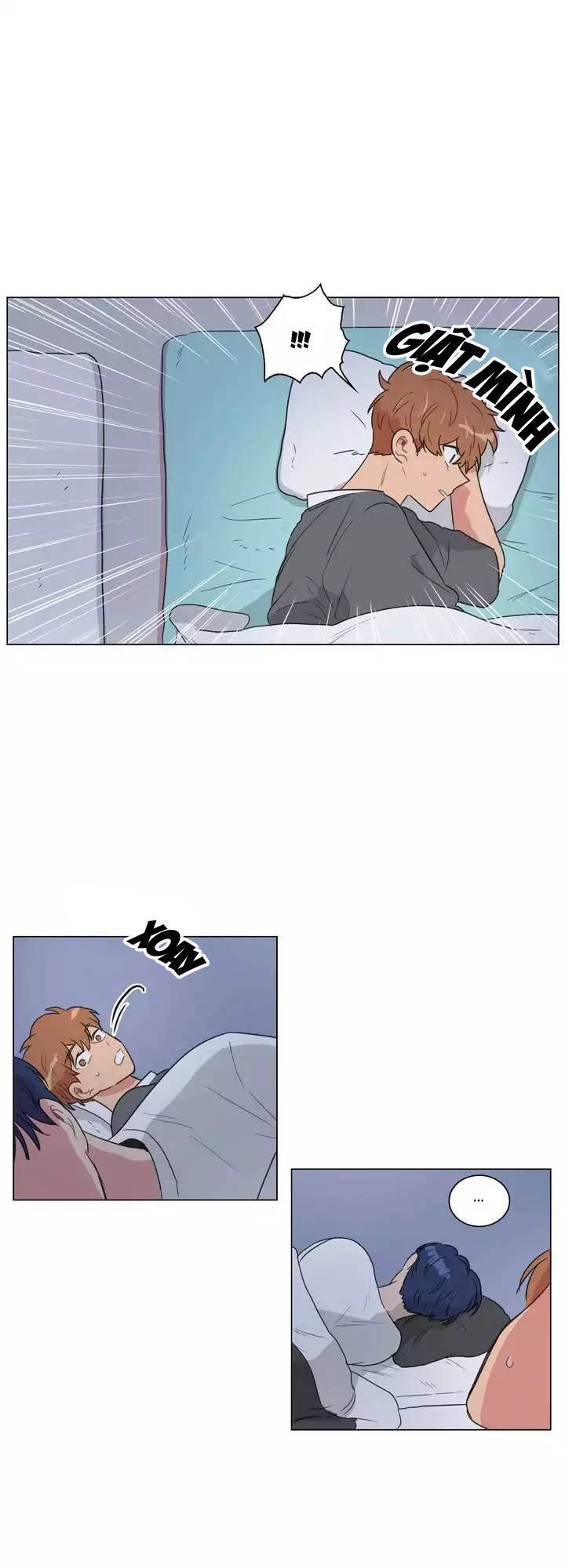 Tỏ Tình Nhầm Lẫn Chap 52 - Next Chap 53