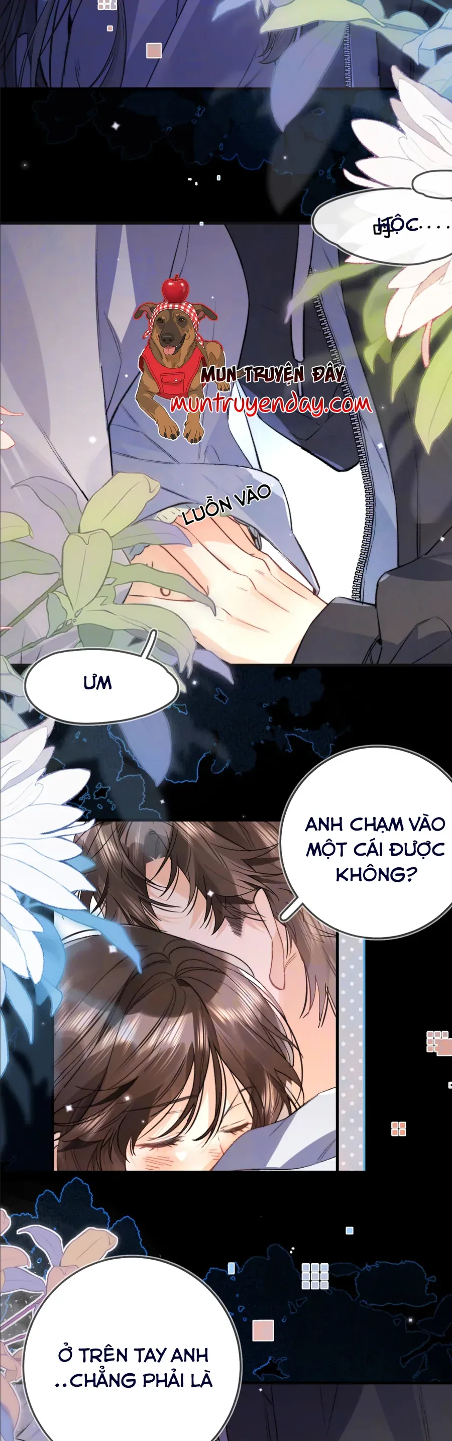 TỎ TÌNH Chap 94 - Next Chap 95