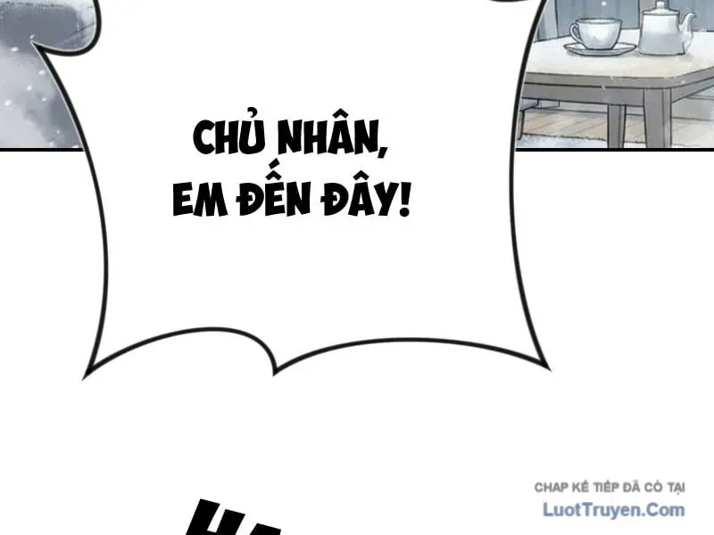 Toàn Cầu Băng Phong : Thu Nhận Hầu Gái, Bắt Đầu Từ Cô Vợ Kiêu Ngạo Nhà Bên Chap 21 - Next Chap 22