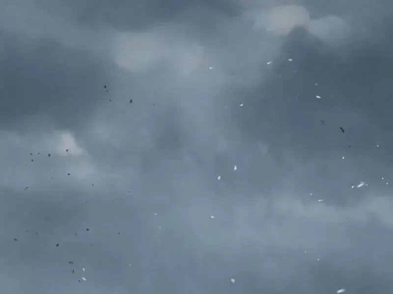 Toàn Cầu Băng Phong : Thu Nhận Hầu Gái, Bắt Đầu Từ Cô Vợ Kiêu Ngạo Nhà Bên Chap 23 - Next Chap 24