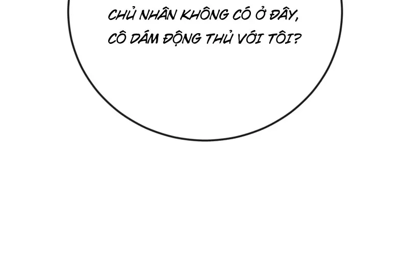 Toàn Cầu Băng Phong : Thu Nhận Hầu Gái, Bắt Đầu Từ Cô Vợ Kiêu Ngạo Nhà Bên Chap 41 - Next Chap 42