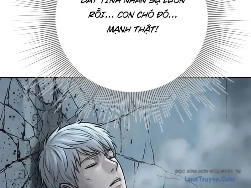 Toàn Cầu Băng Phong : Thu Nhận Hầu Gái, Bắt Đầu Từ Cô Vợ Kiêu Ngạo Nhà Bên Chap 59 - Next Chap 60