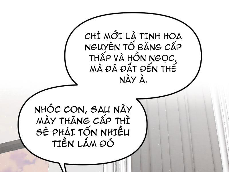 Toàn Cầu Ngự Thú: Ta Có Thể Thấy Lộ Tuyến Tiến Hoá Chap 1 - Next Chap 2