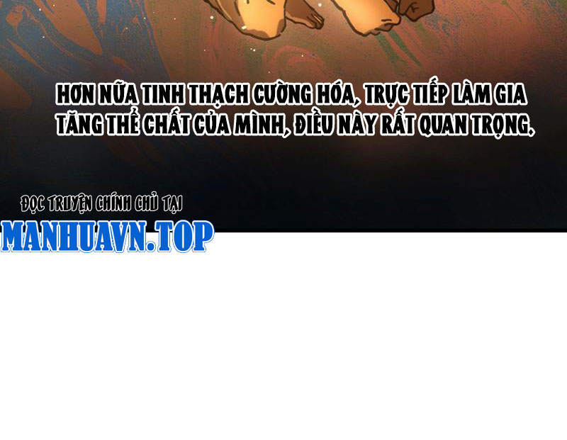 Toàn Cầu Ngự Thú: Ta Có Thể Thấy Lộ Tuyến Tiến Hoá Chap 2 - Next Chap 3