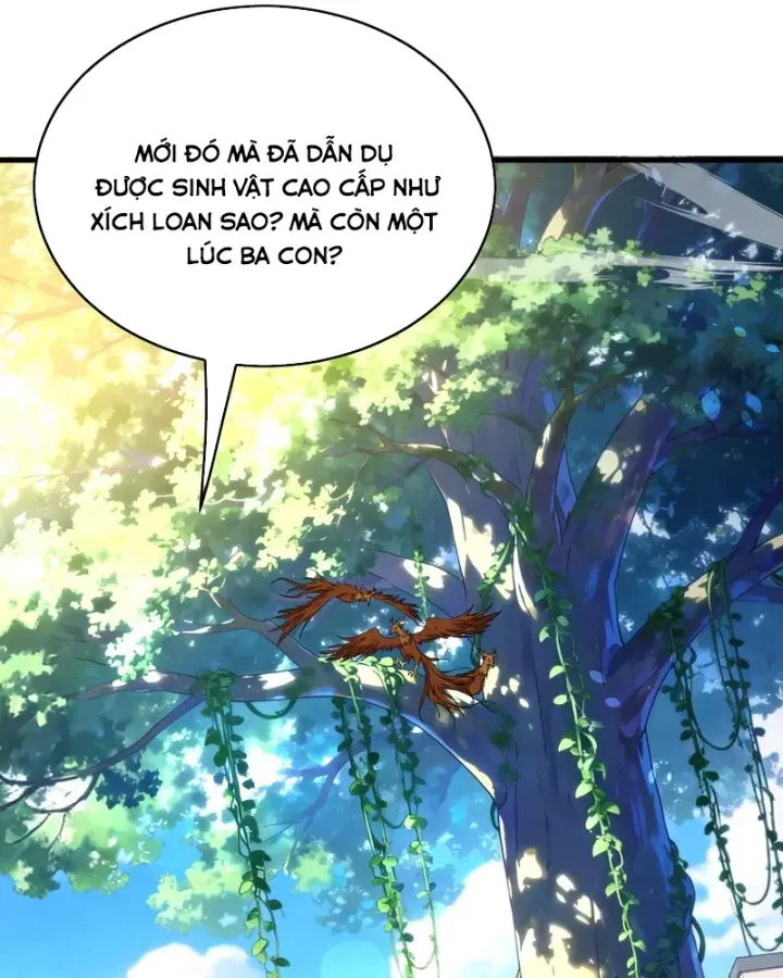 Toàn Dân Chuyển Chức: Bị Động Của Ta Vô Địch Chap 162 - Next Chap 163