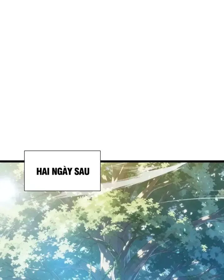 Toàn Dân Chuyển Chức: Bị Động Của Ta Vô Địch Chap 177 - Next Chap 178