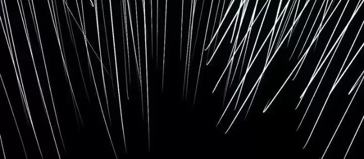 Toàn Dân Tận Thế: Ta Virus Quân Vương Chap 88 - Next Chap 89