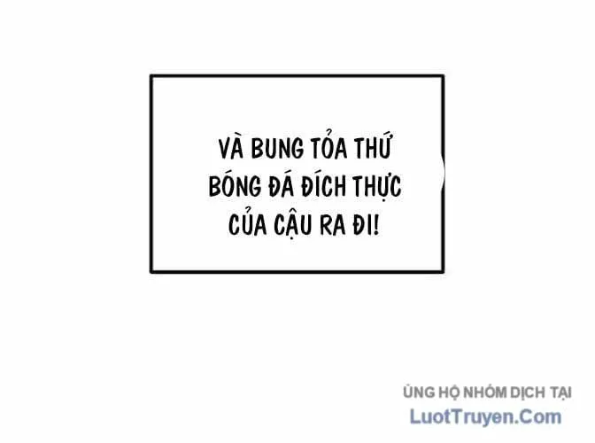 Tôi Bị Hiểu Lầm Là Siêu Sao Trên Sân Cỏ Chap 95 - Next Chap 96