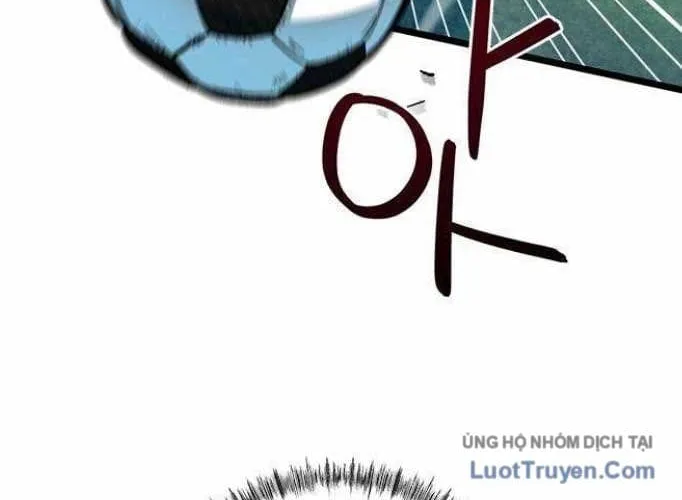 Tôi Bị Hiểu Lầm Là Siêu Sao Trên Sân Cỏ Chap 95 - Next Chap 96