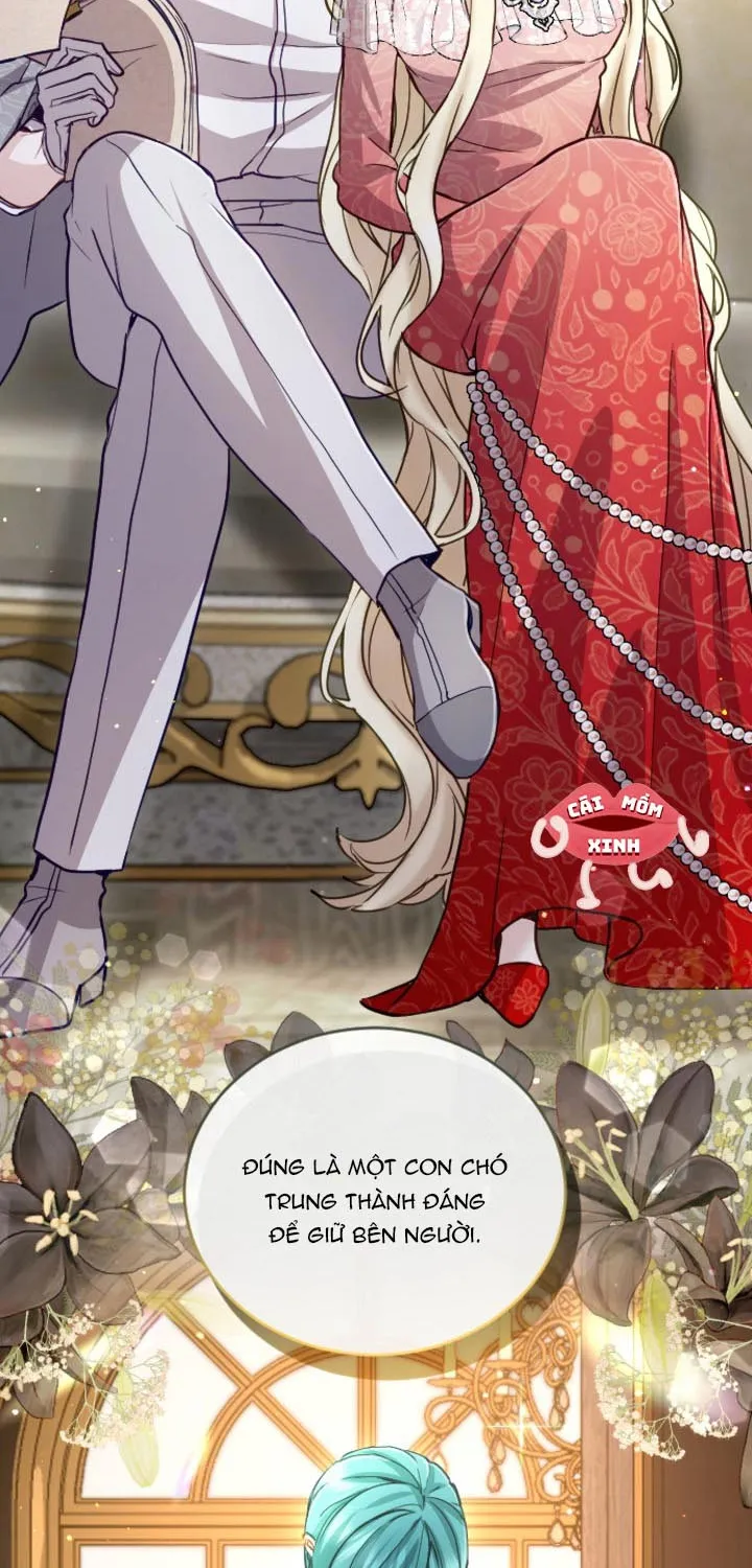 Tôi Bị Trừ Khử Cùng Hoàng Đế Chap 104 - Next Chap 105