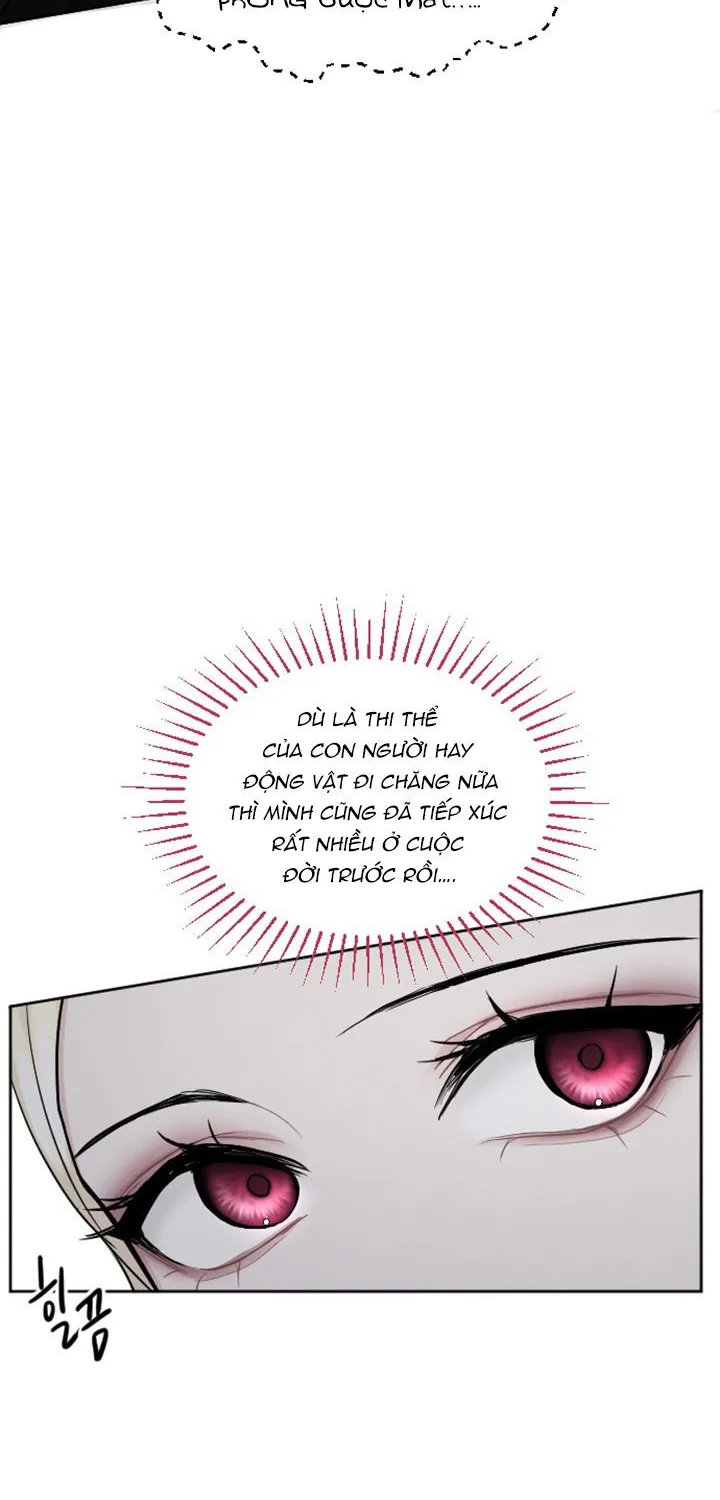 Tôi Bị Trừ Khử Cùng Hoàng Đế Chap 19 - Next Chap 20