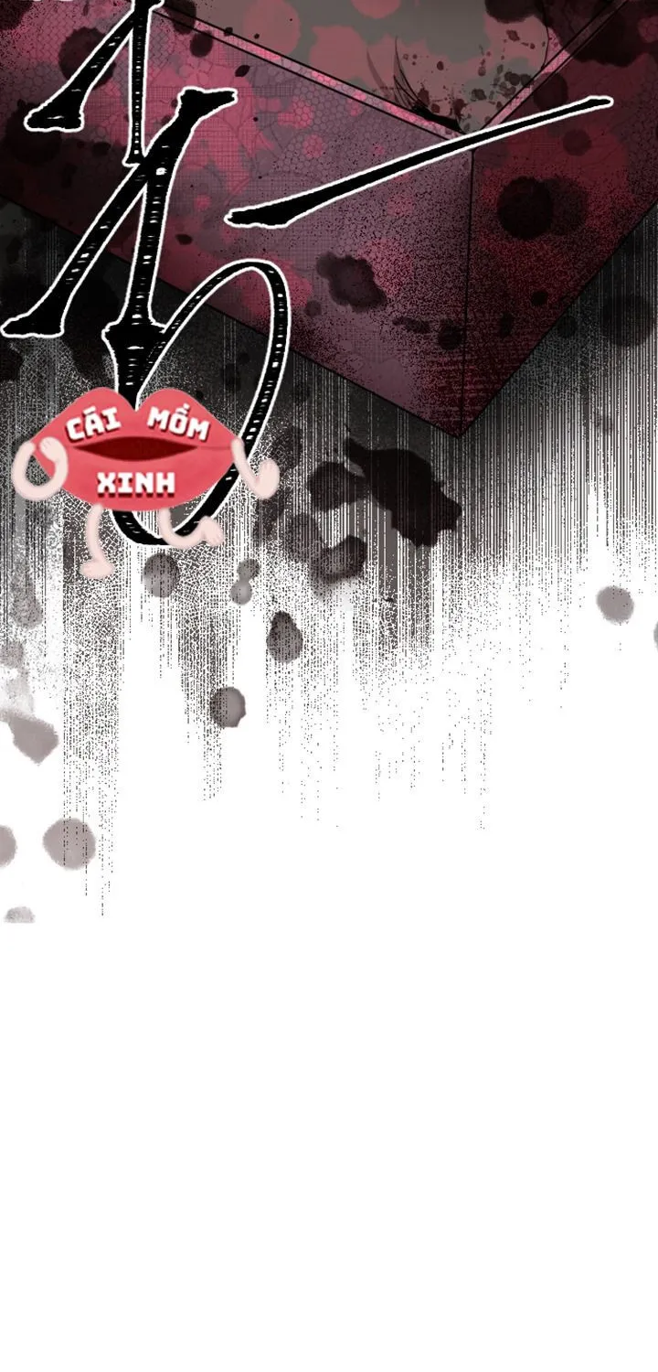 Tôi Bị Trừ Khử Cùng Hoàng Đế Chap 19 - Next Chap 20